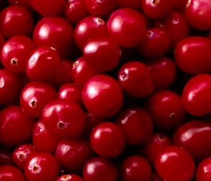 cranberry-sauce-healthy-choice-on-your-thanksgiving-menu