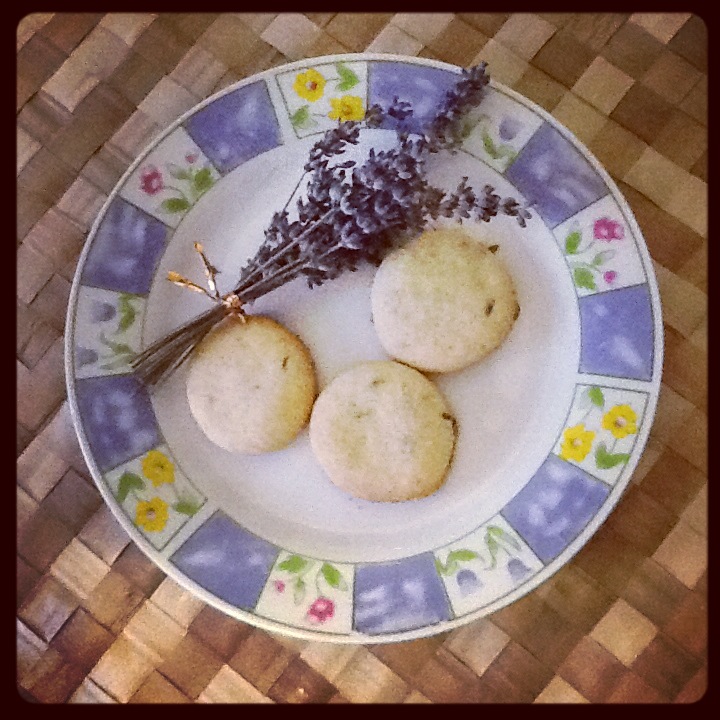 Biscotti alla lavanda