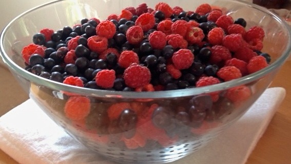 granita frutti di bosco e tè