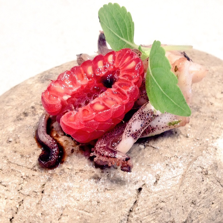 Le teste di calamari possono essere utilizzate per altre ricette
