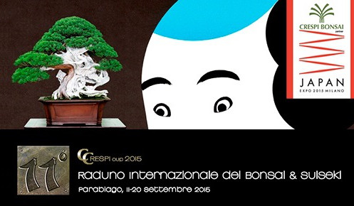A Parabiago il Raduno del bonsai