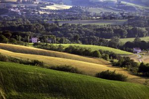 TENUTA Santi Giacomo e Filippo