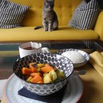 I gatti del Crazy Cat Café di Milano