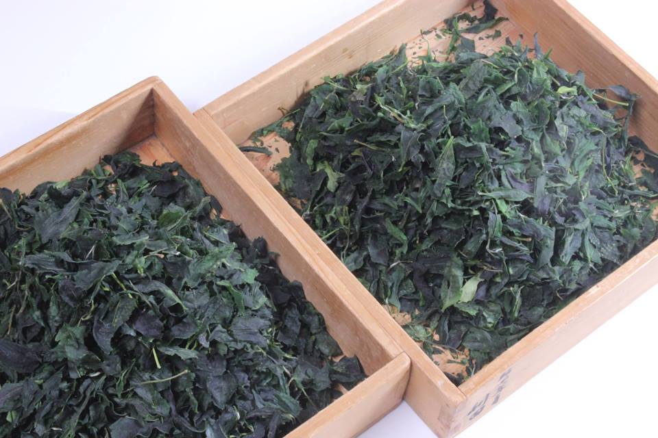 Che cos'è il Matcha? Come si prepara? La risposta nell'intervista a Rishouen Tea Co.