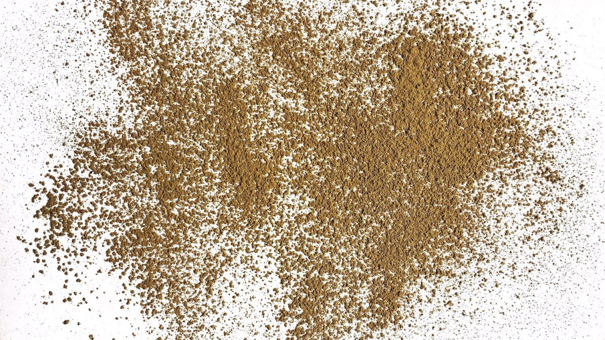 L'hojicha in polvere è un tè pratico, dal sapore di cacao, perfetto per la pasticceria