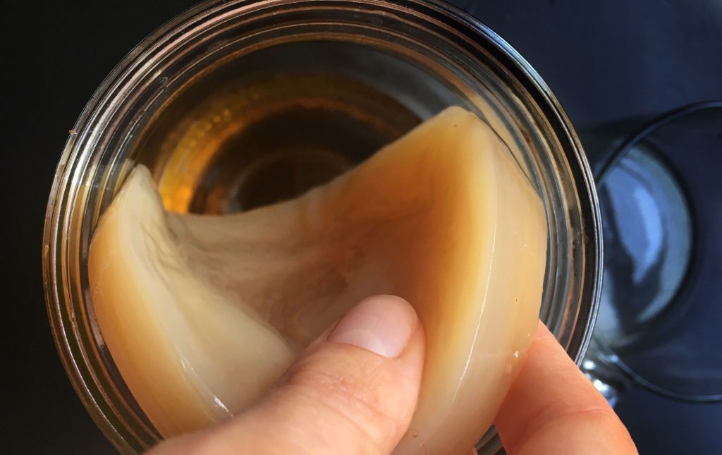 Come si prepara il kombucha