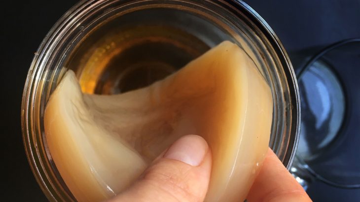 Come si prepara il kombucha