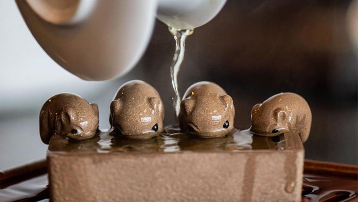 I pet tea sono una bellissima tradizione cinese. Scopri tutti i suoi segreti