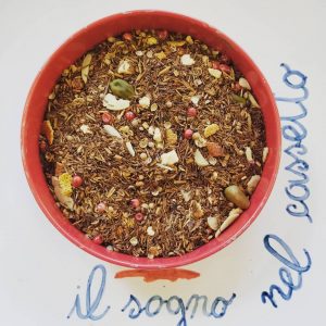 Il sogno nel cassetto a Roma