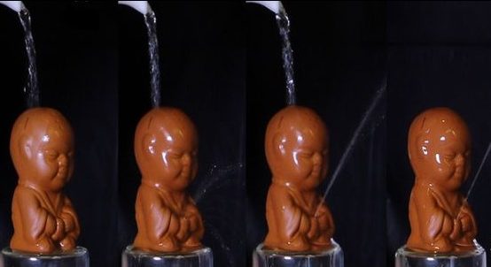 Scopri tutto quello che c'è da sapere sui tea pet, la loro storia, il loro significato e dove si comprano