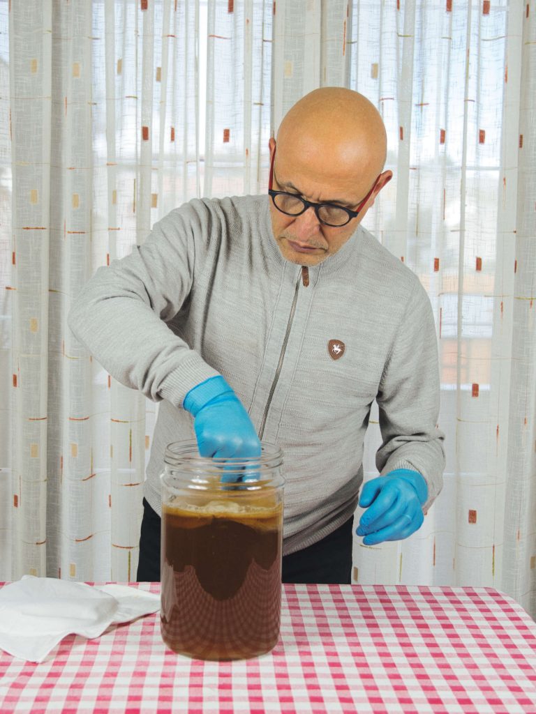 Per preparare il kombucha serve lo scoby, il tè e lo zucchero