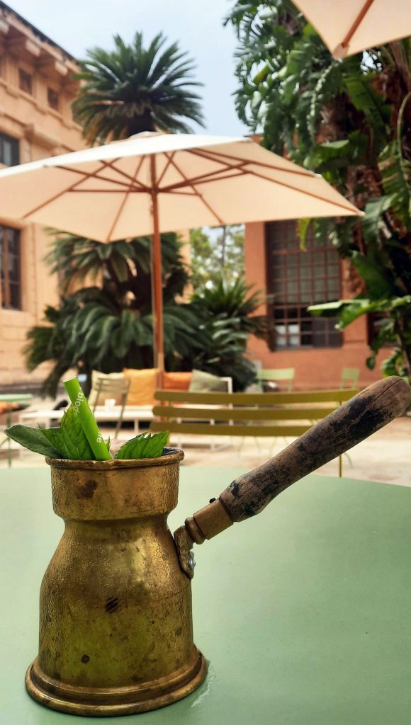 In Sicilia, all'Orto Botanico di Palermo è possibile bere un tè o un cocktail al tè 